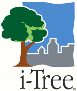 i-tree_logo